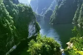 🍀为什么绿色被认为是生命的象征？🍀图片