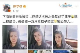 陈学冬双腿被水母蛰成筛子，医生提醒千万要注意，严重可致死图片