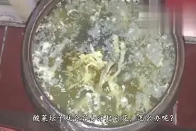 酸菜坛子里总起白花教你几个笨方法，再也不怕生白花视频封面