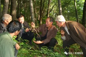 “为文化遗产点赞，为全域旅游添彩”抚松县非遗成果展图片