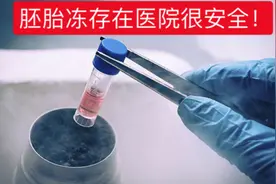 做了试管婴儿，冷冻的胚胎怎么处理最划算？图片