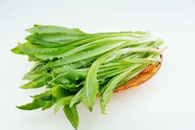 食物有营养-油麦图片