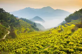 在古诗词中，“南冠、南浦、南风、南楼”有什么特殊的寓意？图片