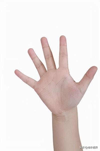 西周金文的形体是一只手的正视形:上面像伸开的指掌形,五根手指清晰