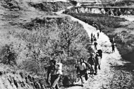 【延安时期统战史实】大力吸收知识分子图片