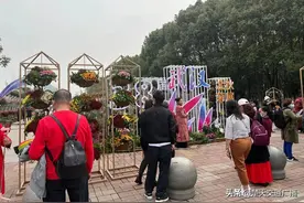 汉口江滩停车位趋于饱和，请尽量绿色出行图片