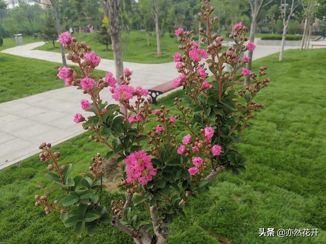 曾国藩:堂堂正正做人,做一个光明磊落的人