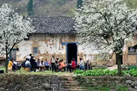 老话“门旁若有两棵树，定有二人来同住”，指哪二人？图片