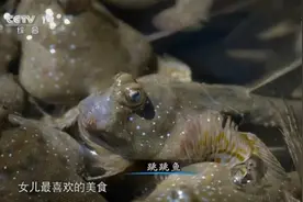 如果美人鱼会走路，它有几种走法？图片