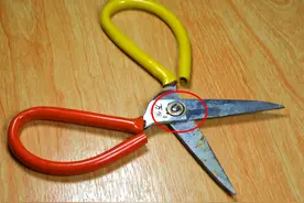 不管剪刀有多钝，万不可扔掉了，教你一招，剪刀干净锋利如新图片