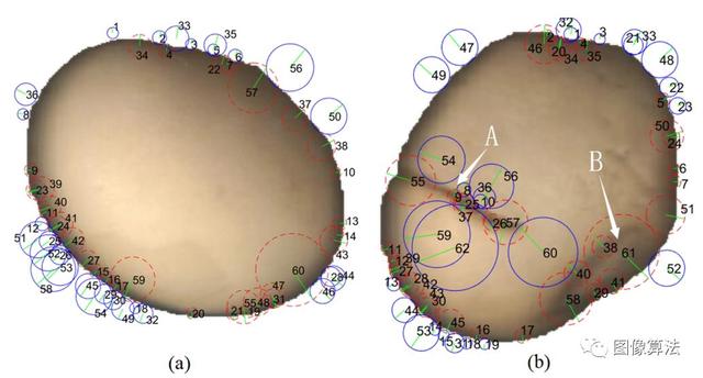基于机器视觉技术快速准确地确定收获后干大豆种子的品质