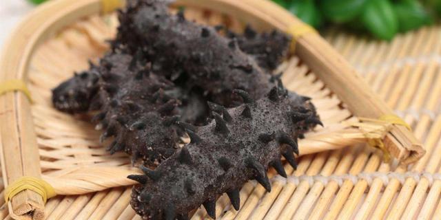 海参 花胶和燕窝哪个实惠 2026年海参花胶燕窝哪个好