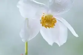 化繁为简的5个方法，这么拍高级多了！图片
