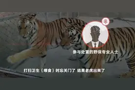 南阳老虎咬死饲养员出逃细节：开始并未攻击人 饲养员用肉引虎回笼被咬图片