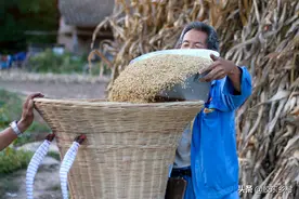 今年立春很特别，农村谚语“早立春堆谷，晚立春堆人”，可信吗？图片