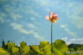 从小暑节气古诗六首，看古人过小暑，前期赶紧婚嫁，后期赶紧避暑图片