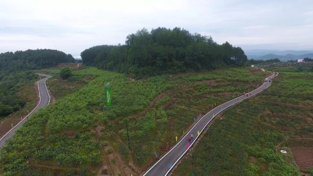 厉害！全国仅25件，巴中就占两个......