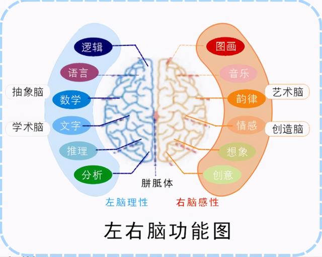 5张图测试你的大脑属于左脑型还是右脑型,有钱人普遍是左脑型