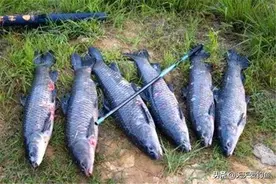 野钓大鱼不易，遛鱼技巧也很重要，牢记这些遛鱼招式，很少跑大鱼图片