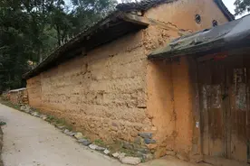 大蛇20多条，女子与蛇同居15年，为什么不被咬，蛇真能与人共处？图片