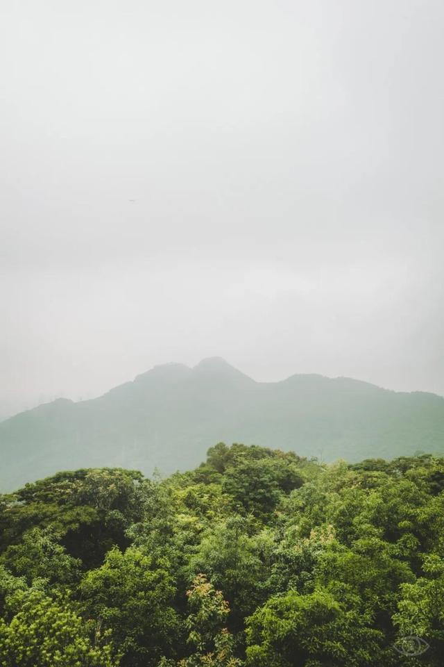 深圳值得征服的10座山，你去过几座？
