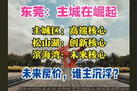 东莞2025：3大核心，4条地铁，8大枢纽，GDP 1.3万亿，房价会涨吗图片