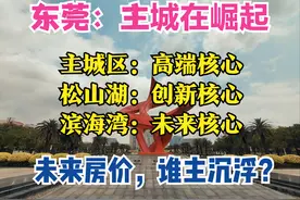 东莞2025：3大核心，4条地铁，8大枢纽，GDP 1.3万亿，房价会涨吗图片