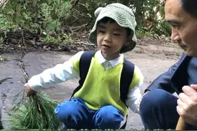 5岁男孩认出恐龙脚印，展现“自然科学”魅力，他的爱好值得学习图片