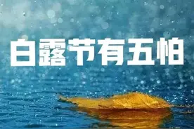 白露节气到了，老祖宗常说“白露有五怕”，是指的哪“五怕”？图片