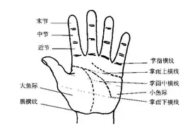 望诊门道之手掌纹中的肿瘤信号，并非空穴来风图片