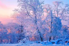 中国最冷的地方，最低温度零下58度，被称为“中国冷极”图片