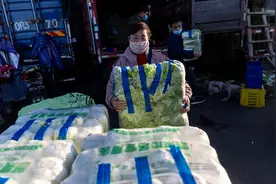 "一棵大白菜10多块" 为何蔬菜价格上涨明显？这次会持续多久？记者探访北京新发地图片