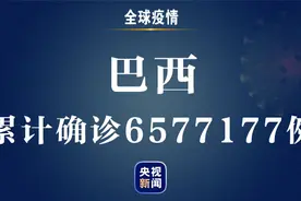 巴西新冠肺炎确诊病例累计近658万例 多地禁止年末聚会活动图片