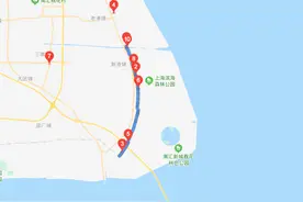 上海藏着一条最美林荫公路，穿越整片水杉林，周末自驾游好去处图片