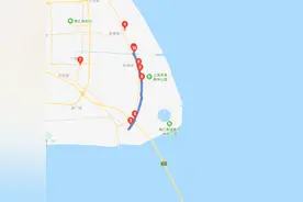 上海藏着一条最美林荫公路，穿越整片水杉林，周末自驾游好去处图片