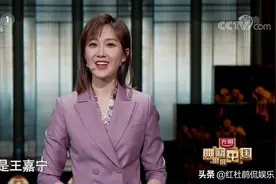 《典籍里的中国》：撒贝宁王嘉宁张舒越3主持人各司其职颠覆印象图片