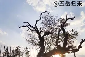 1800多年前，诸葛亮出山第一把火——火烧博望坡，如今怎么样了？图片