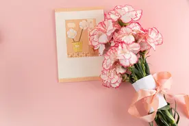 观察发现，有这些特质的女人，往往都嫁得好图片