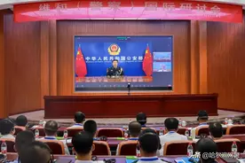 维和（警察）国际研讨会举行 王小洪在开幕式上发表视频致辞图片