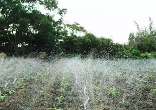土壤健康必须满足这5个条件
