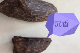 为什么经常有人到农村高价收购没人要的白木香？木材可以造假沉香图片