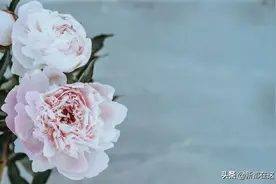 香城细管 | 众多“最美街道”，你想让哪个C位出道？图片