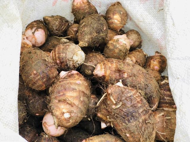 买芋头时，挑“小个”还是“大个”，老菜农说出实情，要了解一下