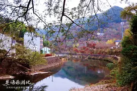 浙江四明山深处有一个古村，枫叶漫山谷，银杏映清溪，实在太美了图片