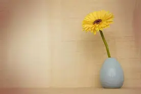如果一个人伤害过你，你要懂得放下，但不必去原谅图片