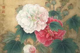 李晓明《双色芙蓉图》绘制步骤解析图片