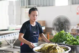 三农网红——巧妇9妹到底怎么了？图片