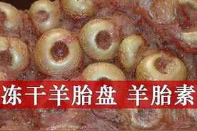 羊胎盘素冻干粉冷冻干燥机的工作原理图片