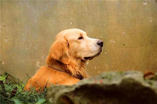 ҥëġůС𣿲ֻǶѺ