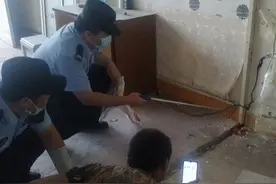 包头一村民翻修房屋，墙缝中突见一条蛇，还吐着信子图片